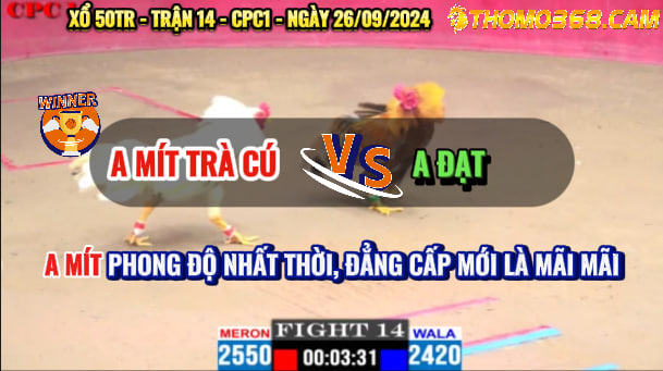 Trận 14 CPC1 26/09/2024